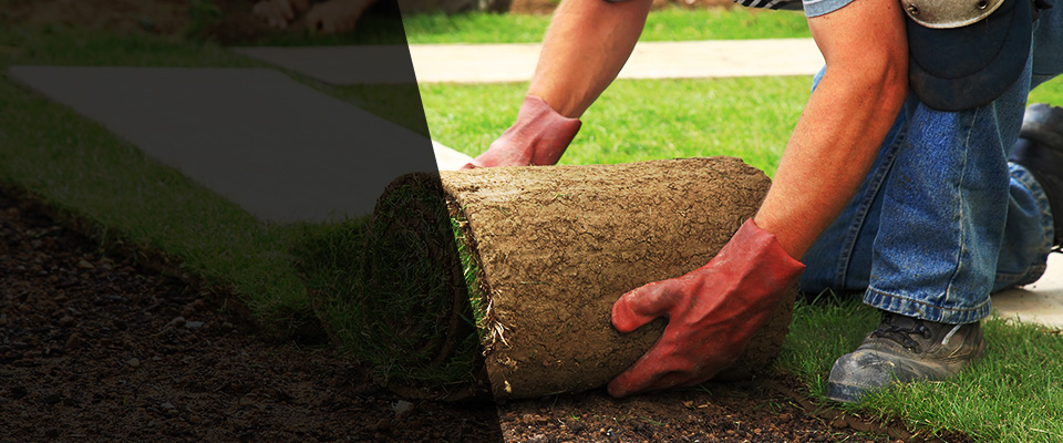 Lewisport Landscapers